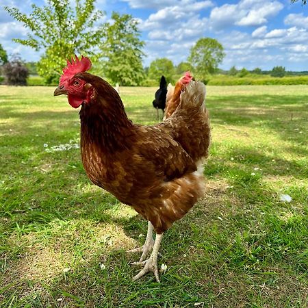 Newball Charming Hen Cottage Countryside Retreat Lincoln מראה חיצוני תמונה