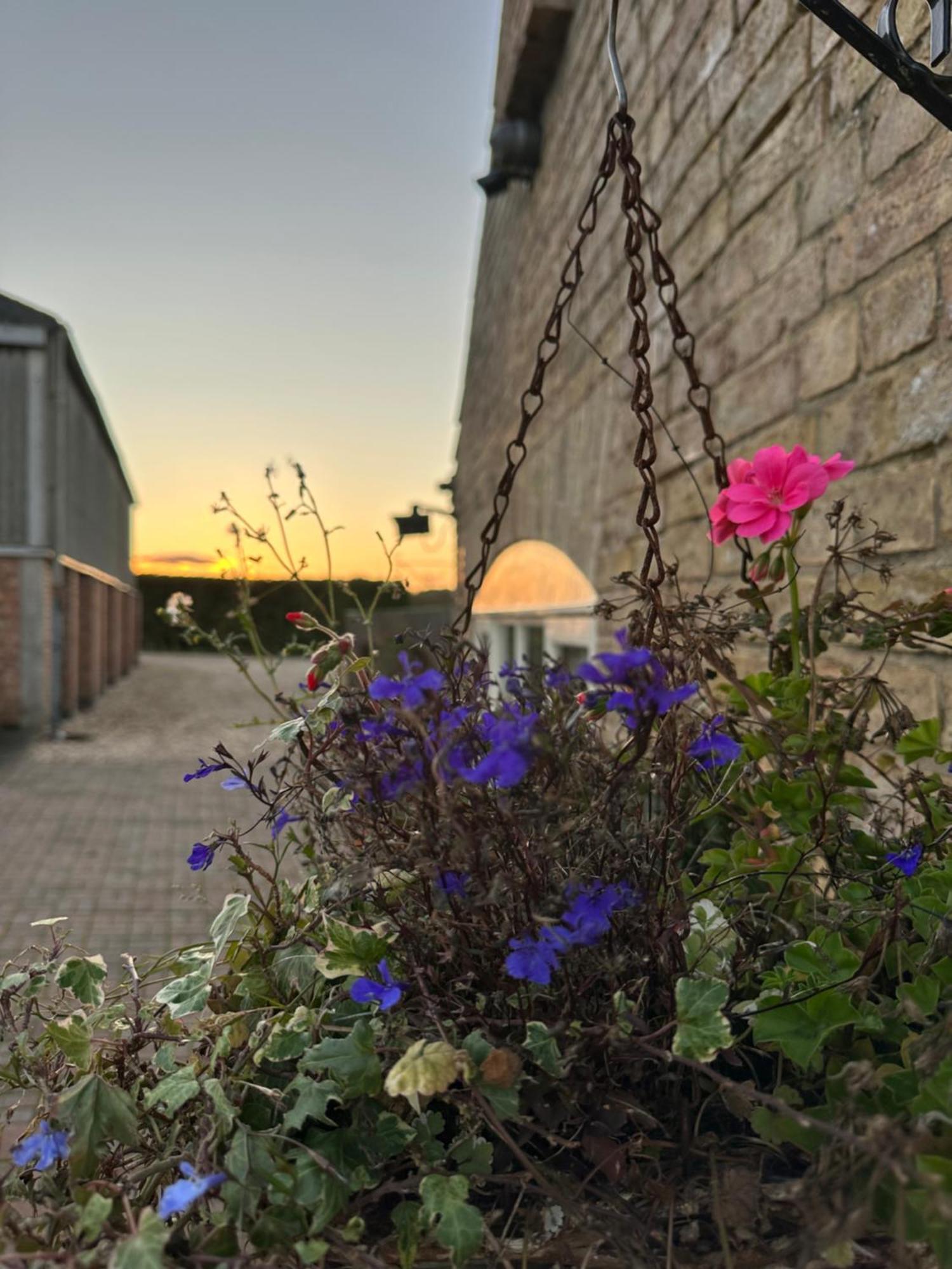 Newball Charming Hen Cottage Countryside Retreat Lincoln מראה חיצוני תמונה